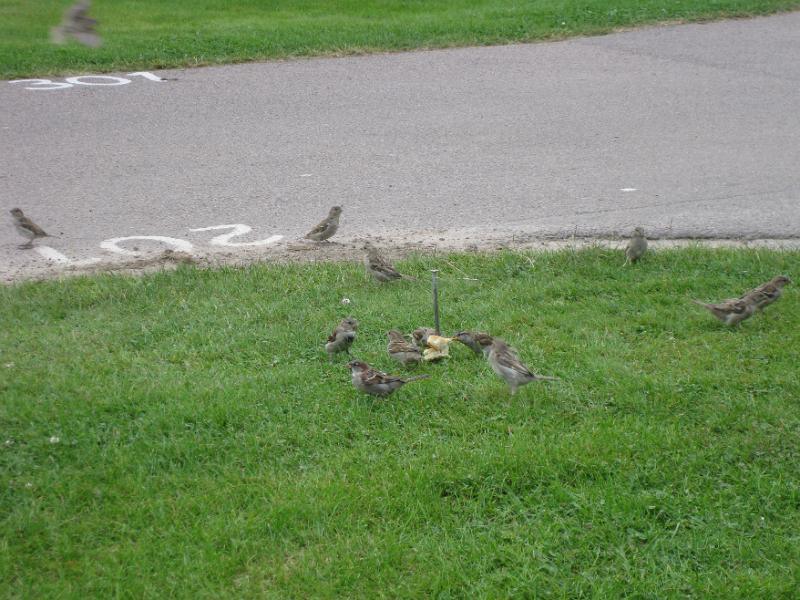 120805-175356.jpg - ����L�������T���'����}��������0220����\�������p�����������������������������������¤���������������������¬����ß��Ì���� ����0100 ������� ����@�� ����°��¢����´���¢����¼���¢�������¢��������£�������¤��������¤��������¤����Ä���¤������������Ì���������������������������������������(�������2����8����������i����Ì���Ð�������������������ÿØÿà�JFIF�,,��ÿÛ�C�%# , #&')*)-0-(0%()(ÿÛ�C(((((((((((((((((((((((((((((((((((((((((((((((((((ÿÀ��x� "�ÿÄ�����������ÿÄ�µ���}�!1AQa"q2¡#B±ÁRÑð$3br%&'()*456789:CDEFGHIJSTUVWXYZcdefghijstuvwxyz
¢£¤¥¦§¨©ª²³´µ¶·¸¹ºÂÃÄÅÆÇÈÉÊÒÓÔÕÖ×ØÙÚáâãäåæçèéêñòóôõö÷øùúÿÄ��������ÿÄ�µ��w�!1AQaq"2B¡±Á#3RðbrÑ$4á%ñ&'()*56789:CDEFGHIJSTUVWXYZcdefghijstuvwxyz
¢£¤¥¦§¨©ª²³´µ¶·¸¹ºÂÃÄÅÆÇÈÉÊÒÓÔÕÖ×ØÙÚâãäåæçèéêòóôõö÷øùúÿÚ���?�Ç,?øTëo(µYäûª¶özÌ [Ü¸=ÂZ0hºÜò´QÁ6èÆçBò)ÂQÚ¹ÍdõEx¢}¿éI±ýÅ>HÐ§VSBÖæ`ÌÀÚ89ýjOøEuÈ`l} f}{Õ«o]°ùÝ?ïçÿ�Z¬ÉòþýZ£è/c3'Ê´WÈÉ£ùùCþuÐÅáD~àôç*Ä>¶SË¹Zk> °ó9Fß¶üÒW;ë³_Ú··ÓxwOÈs}95k!ý]÷8¥,ü¹¤3"#!ýqïH²?gN:T«¦ÚùtñAT°=Øþ¯æyÓJò #¢ ¹|¿¦kÒE¬C0OTÞ^:ùVº²ugÃ¤ßË!Dç±^Ão´¹Dõï]ÛÄoÊ£0ûÕa`¨Aoü"òãýxÝî*AáO»~þµÖ¨ü©§ÐVMt-SèsÐøZÙN^IÙÅh[é6ÖüÇ?ïÖ=GéIòUªpÈ¥ñÈñ§§k»]y6zgGëO»,þZ¿çNZz¨ëNÏQH,2 úT¸§À DkNÁô©8õ§dPX4¼ÓÀûÝivä÷ ¨4l÷¥òñ÷.0(¼ôÜûÓ¶MhÎ:Ð~4O*{õ£Þ¦°©öÓv}(SAëVSHÈ ÁqRª{µ©]R;!wð%n[ï`¢HÌoÝcEÆ?hïOEqVm¬g7tC±>ù'¡-Çúÿ�
!~T«õ