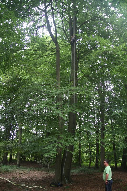 120808-122702.jpg - ¾