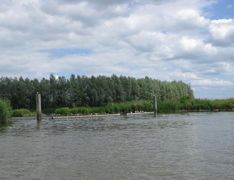 130719-143911.jpg - Ì