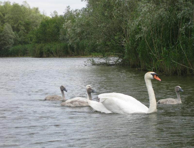 130719-144554.jpg - Ì