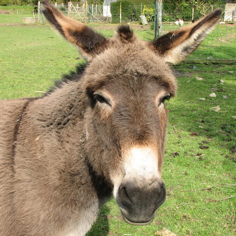 140420-171433.jpg - È