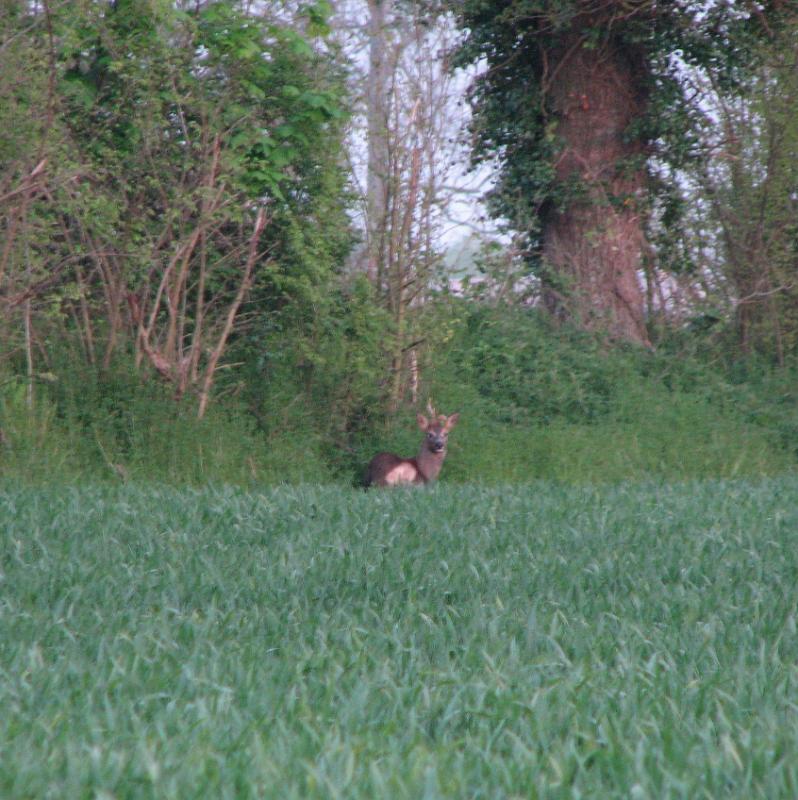 140421-204151.jpg - È