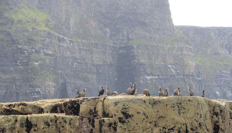 150719-134653.jpg - ä