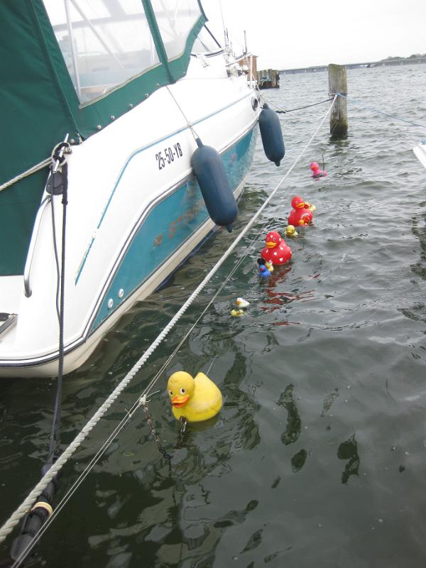 150503-184515.jpg - Ì